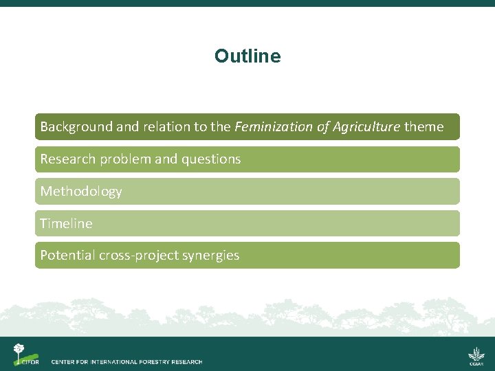 Outline Background and relation to the Feminization of Agriculture theme Research problem and questions