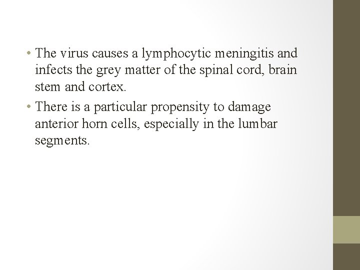  • The virus causes a lymphocytic meningitis and infects the grey matter of