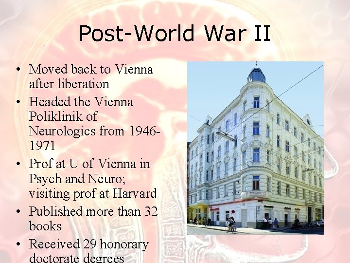 Post-World War II • Moved back to Vienna after liberation • Headed the Vienna