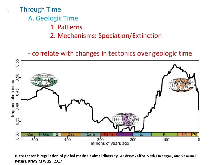 I. Through Time A. Geologic Time 1. Patterns 2. Mechanisms: Speciation/Extinction - correlate with