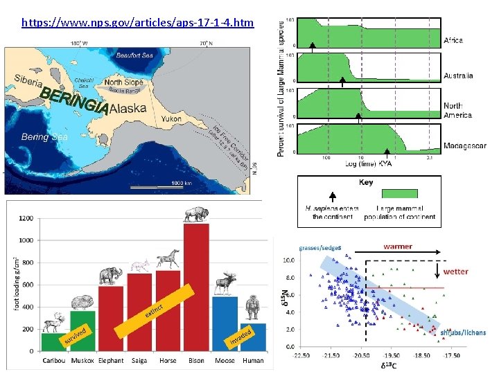 https: //www. nps. gov/articles/aps-17 -1 -4. htm 