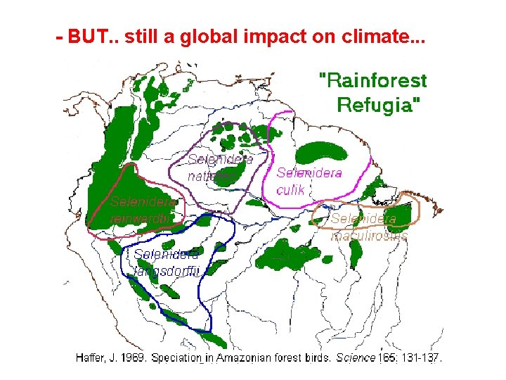 - BUT. . still a global impact on climate. . . 