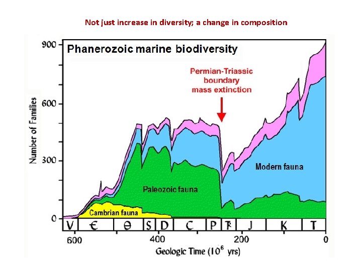 Not just increase in diversity; a change in composition 