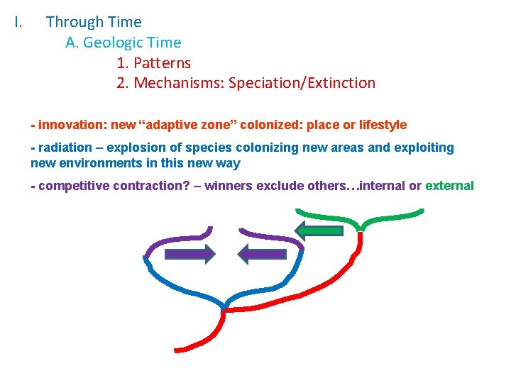 I. Through Time A. Geologic Time 1. Patterns 2. Mechanisms: Speciation/Extinction - innovation: new