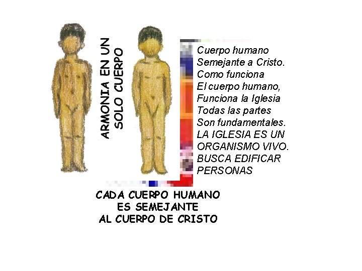 Cuerpo humano Semejante a Cristo. Como funciona El cuerpo humano, Funciona la Iglesia Todas Cuerpo humano Semejante a Cristo. Como funciona El cuerpo humano, Funciona la Iglesia Todas