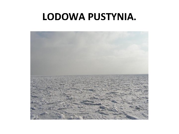 LODOWA PUSTYNIA. 