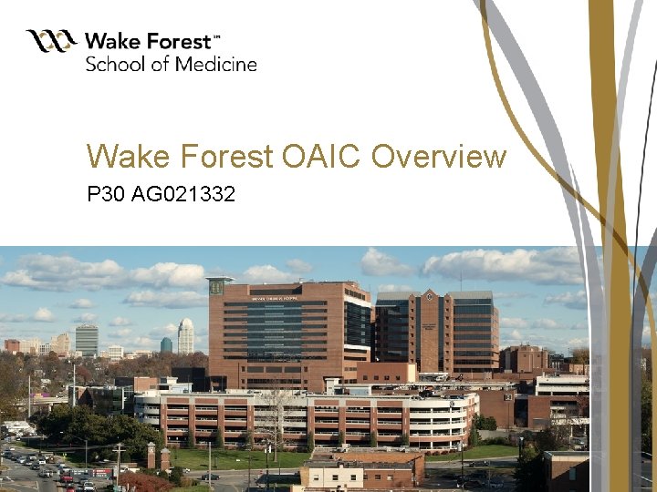 Wake Forest OAIC Overview P 30 AG 021332 