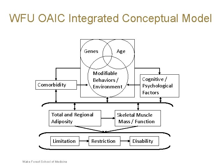 WFU OAIC Integrated Conceptual Model Genes Comorbidity Modifiable Behaviors / Environment Total and Regional