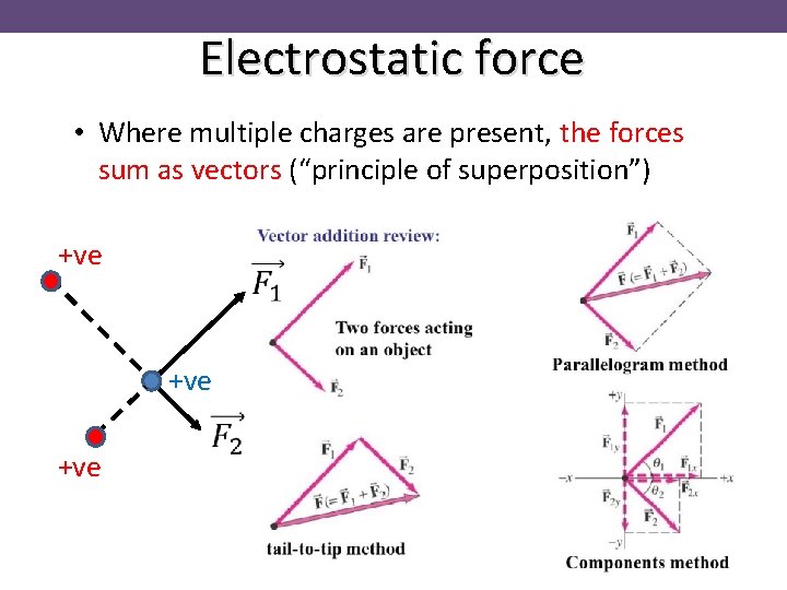 Electrostatic force • Where multiple charges are present, the forces sum as vectors (“principle