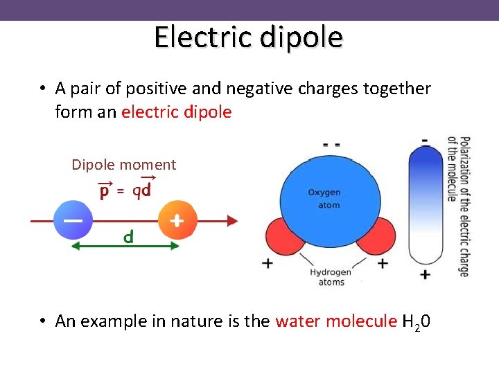 Electric dipole • A pair of positive and negative charges together form an electric