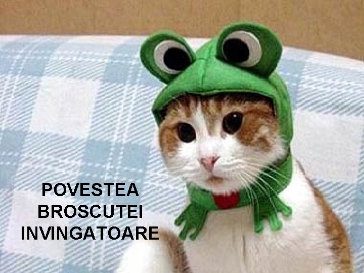 POVESTEA BROSCUTEI INVINGATOARE 