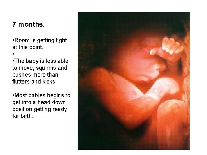 7 months. • Room is getting tight at this point. • • The baby 7 months. • Room is getting tight at this point. • • The baby