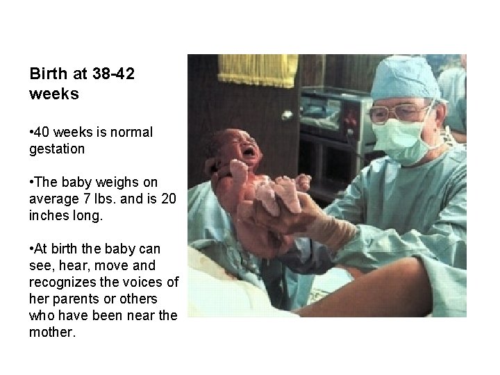 Birth at 38 -42 weeks • 40 weeks is normal gestation • The baby