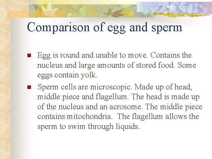 Comparison of egg and sperm n n Egg is round and unable to move.