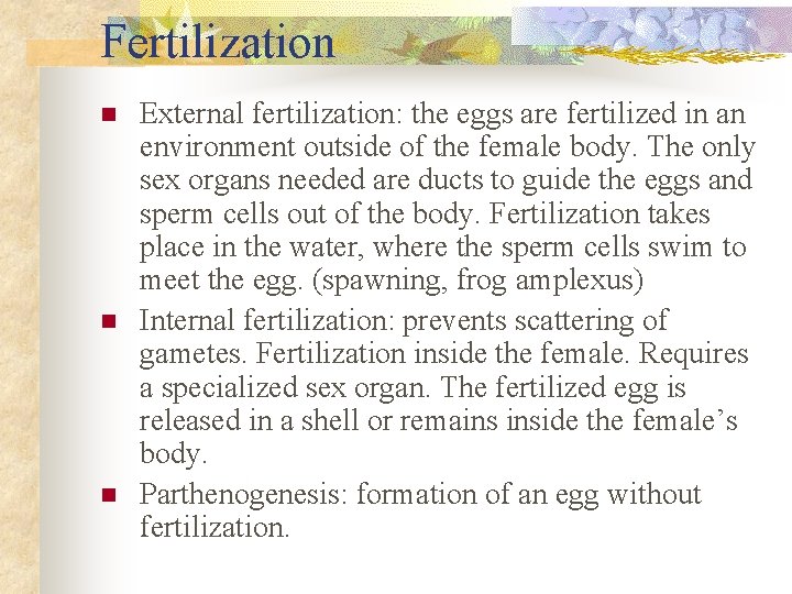 Fertilization n External fertilization: the eggs are fertilized in an environment outside of the