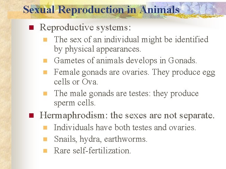 Sexual Reproduction in Animals n Reproductive systems: n n n The sex of an