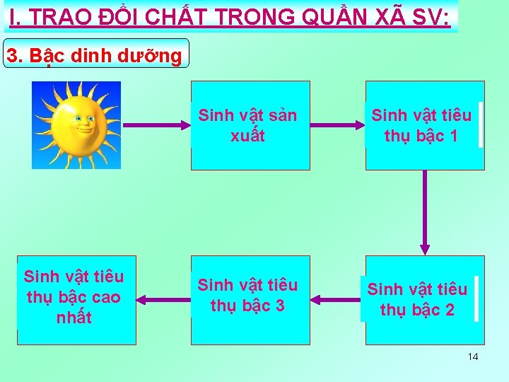 I. TRAO ĐỔI CHẤT TRONG QUẦN XÃ SV: 3. Bậc dinh dưỡng Sinh Bậcvật