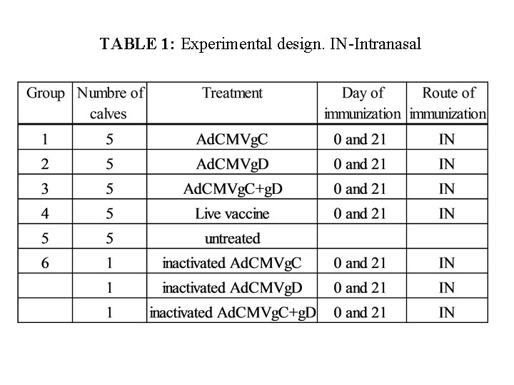 TABLE 1: Experimental design. IN-Intranasal 