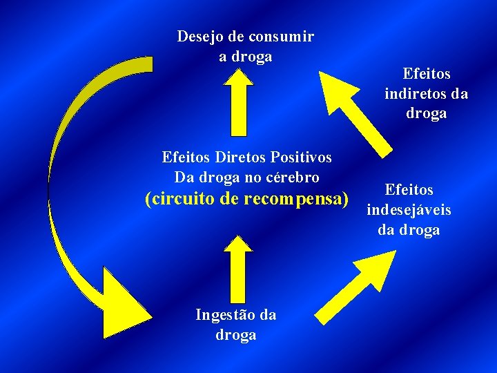 Desejo de consumir a droga Efeitos Diretos Positivos Da droga no cérebro (circuito de