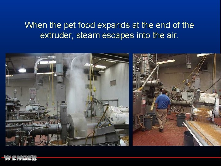 When the pet food expands at the end of the extruder, steam escapes into