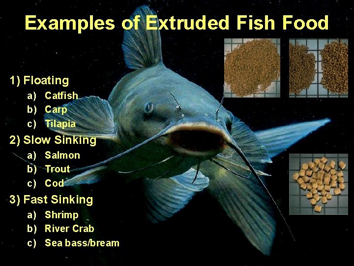 Examples of Extruded Fish Food 1) Floating a) Catfish b) Carp c) Tilapia 2)