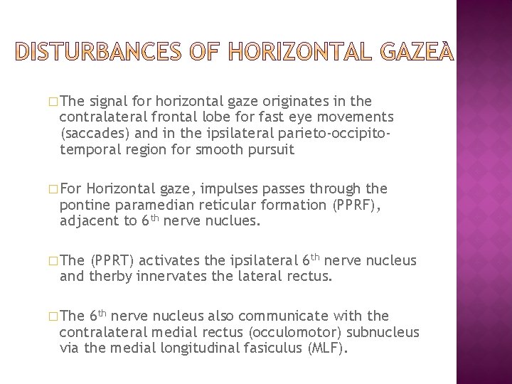 � The signal for horizontal gaze originates in the contralateral frontal lobe for fast