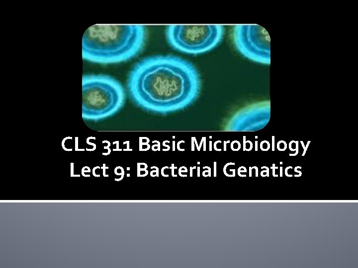 CLS 311 Basic Microbiology Lect 9: Bacterial Genatics 