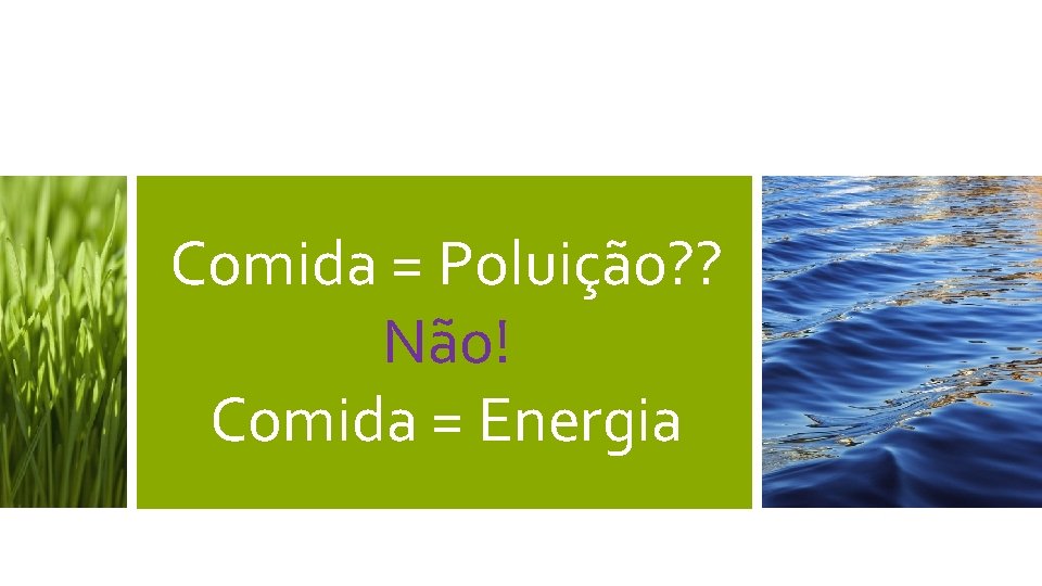 Comida = Poluição? ? Não! Comida = Energia Comida = Poluição? ? Não! Comida = Energia