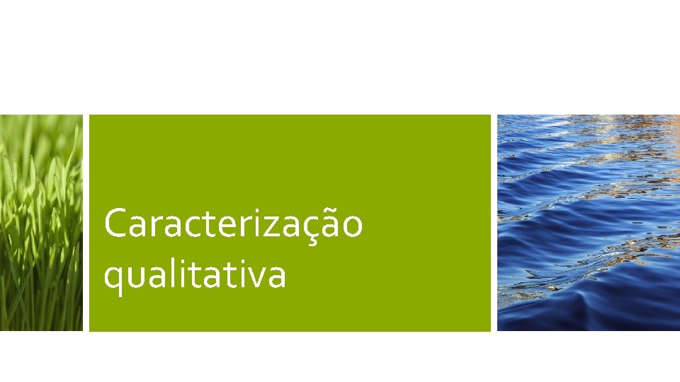 Caracterização qualitativa Caracterização qualitativa