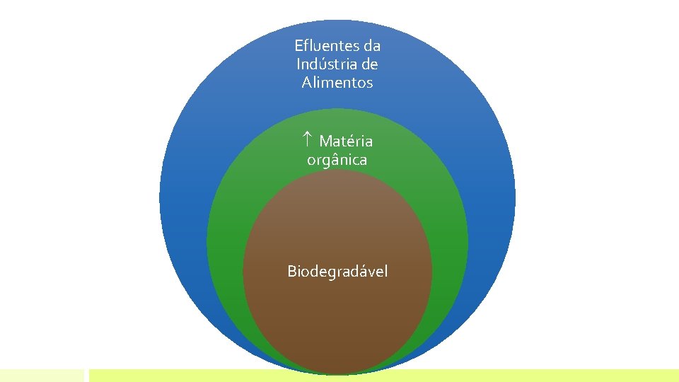 Efluentes da Indústria de Alimentos Matéria orgânica Biodegradável CH 4 Efluentes da Indústria de Alimentos Matéria orgânica Biodegradável CH 4
