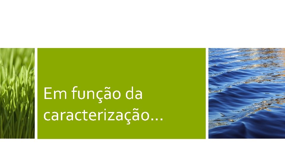 Em função da caracterização. . . Em função da caracterização. . .