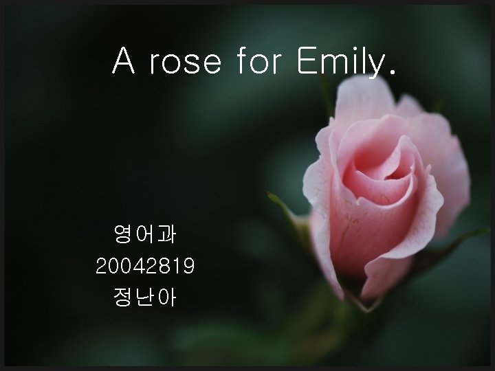 A rose for Emily. 영어과 20042819 정난아 