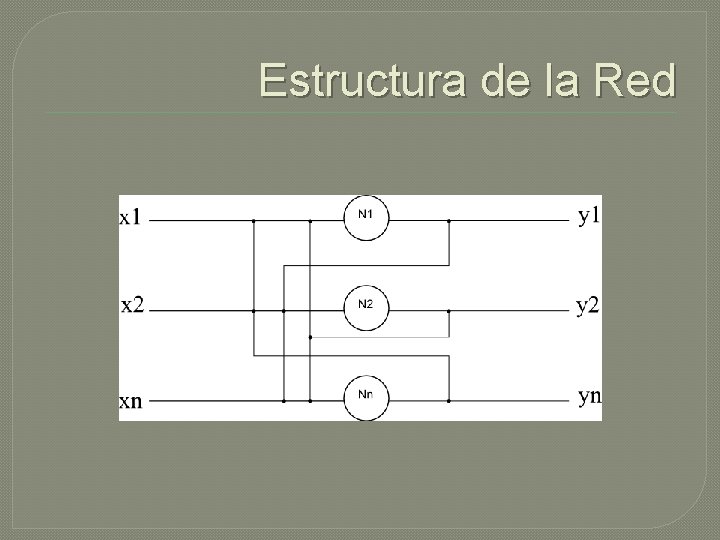 Estructura de la Red 