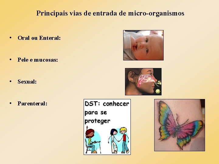 Principais vias de entrada de micro-organismos • Oral ou Enteral: • Pele e mucosas: Principais vias de entrada de micro-organismos • Oral ou Enteral: • Pele e mucosas: