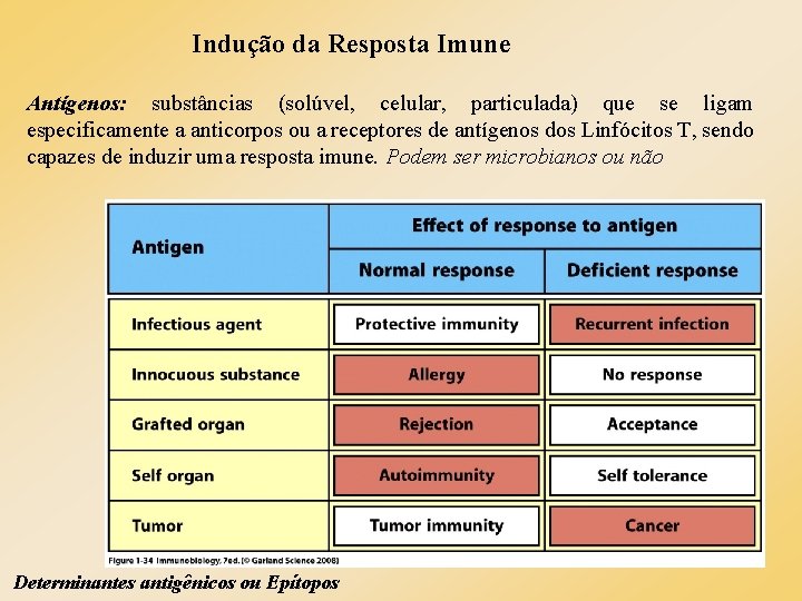 Indução da Resposta Imune Antígenos: substâncias (solúvel, celular, particulada) que se ligam especificamente a Indução da Resposta Imune Antígenos: substâncias (solúvel, celular, particulada) que se ligam especificamente a