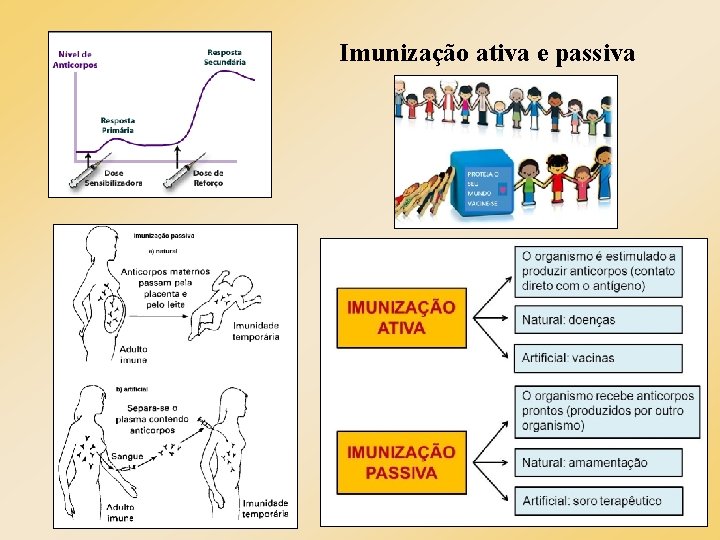 Imunização ativa e passiva Imunização ativa e passiva