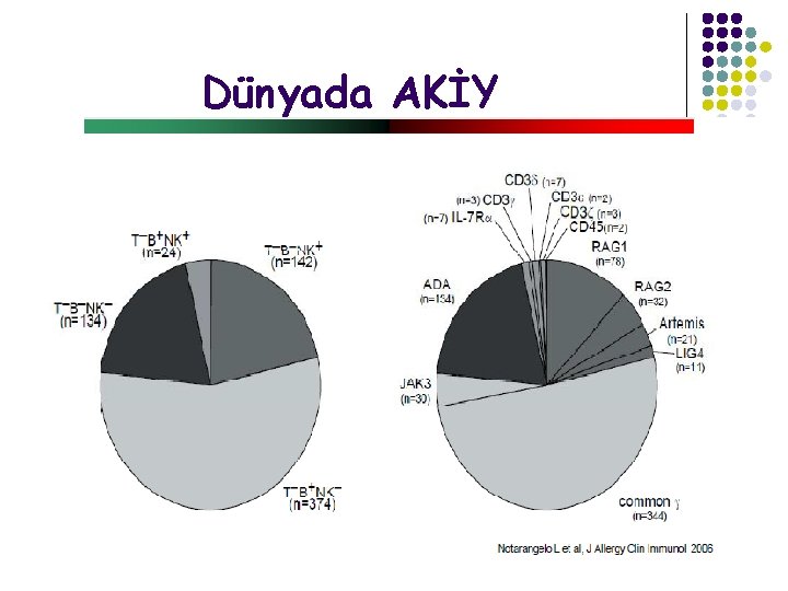 Dünyada AKİY 