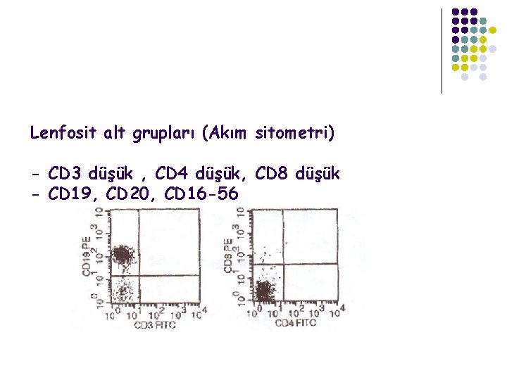 Lenfosit alt grupları (Akım sitometri) - CD 3 düşük , CD 4 düşük, CD