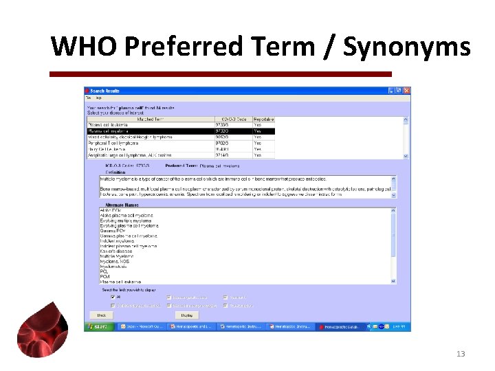 WHO Preferred Term / Synonyms 13 