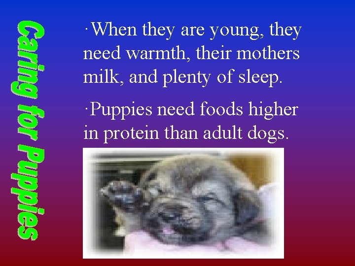 ·When they are young, they need warmth, their mothers milk, and plenty of sleep.