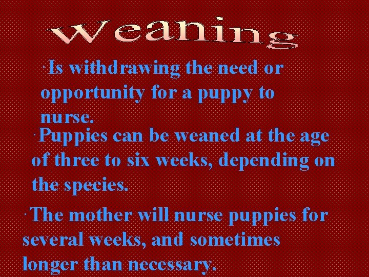 ·Is withdrawing the need or opportunity for a puppy to nurse. ·Puppies can be