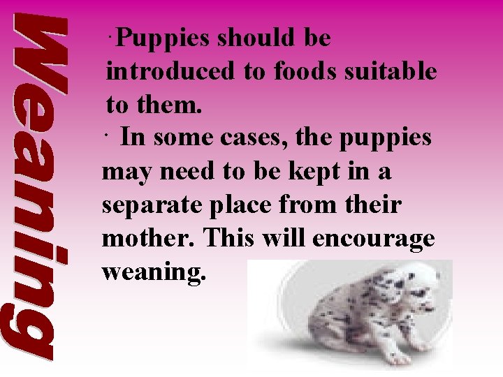 ·Puppies should be introduced to foods suitable to them. · In some cases, the