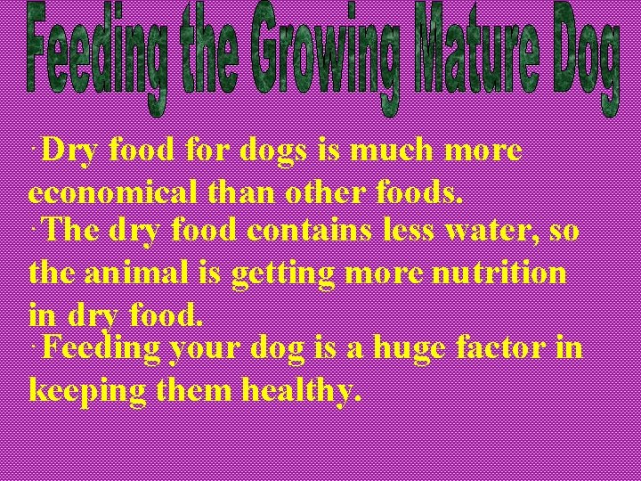 ·Dry food for dogs is much more economical than other foods. ·The dry food