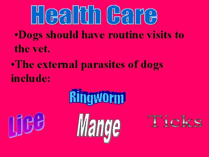  • Dogs should have routine visits to the vet. • The external parasites