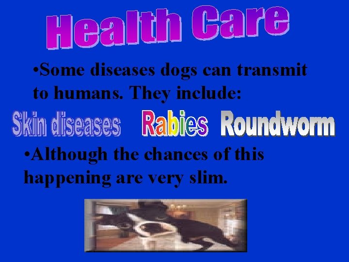  • Some diseases dogs can transmit to humans. They include: • Although the