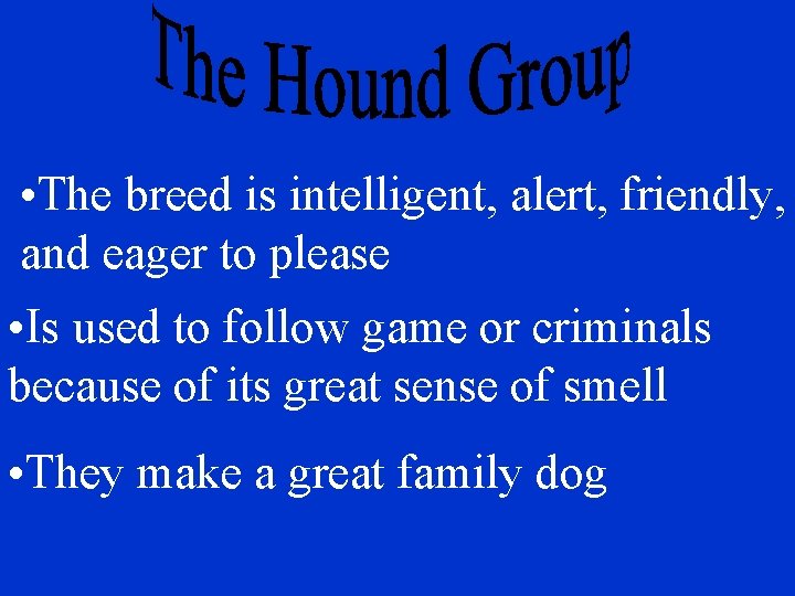  • The breed is intelligent, alert, friendly, and eager to please • Is