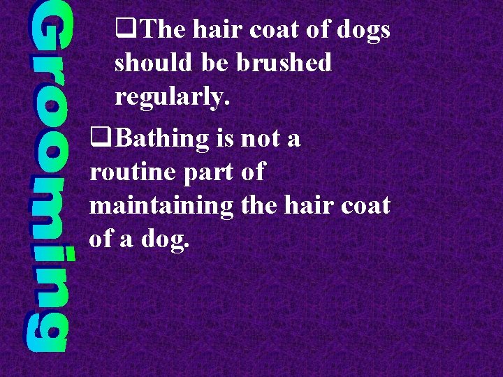 q. The hair coat of dogs should be brushed regularly. q. Bathing is not