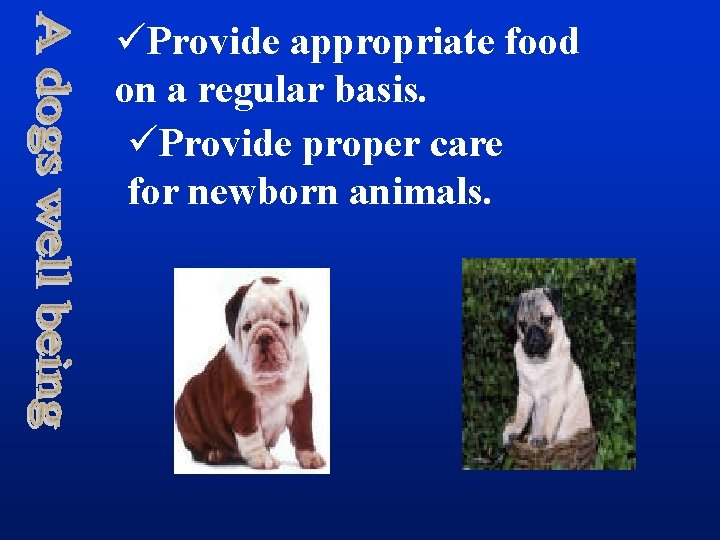 üProvide appropriate food on a regular basis. üProvide proper care for newborn animals. 