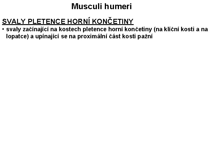 Musculi humeri SVALY PLETENCE HORNÍ KONČETINY • svaly začínající na kostech pletence horní končetiny