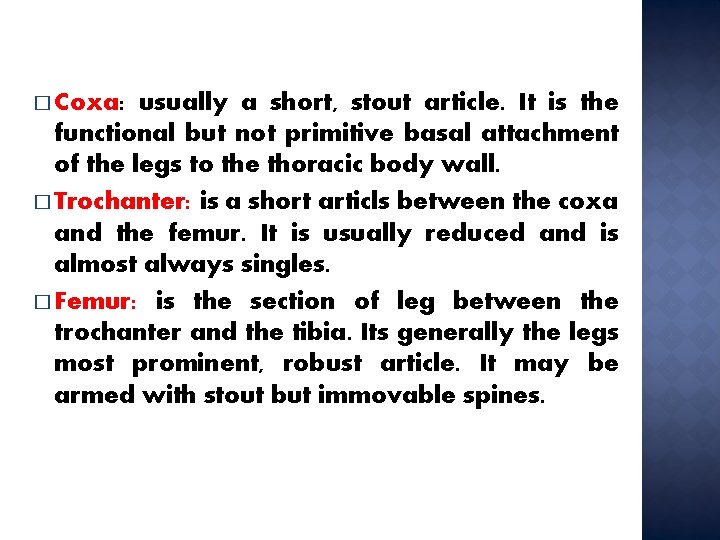 � Coxa: usually a short, stout article. It is the functional but not primitive